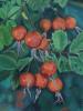 24x18 - Rose Hips - Prairie Closeup oil painting by Fran Francis - F1703