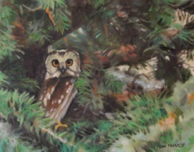 11x14 - Saw-Whet Owl - Prairie Landscape Oil Painting by Dean Francis - 2237