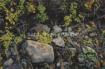 16x24 - Dry Creek Bed - Prairie Landscape Oil Painting by Dean Francis - 2038