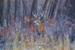 24x36 - Sudden Appearance - Prairie Landscape Oil Painting by Dean Francis - 2411