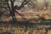 24x36 - A Grand Configuration - Prairie Landscape Oil Painting by Dean Francis - 2018