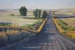 16x24 - Autumn Drive - Prairie Landscape Oil Painting by Dean Francis - 2619