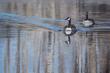 20x30 - Reflections - Prairie Landscape Oil Painting by Dean Francis - 2616
