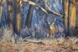 30x45 - Last Look, Before Retreat - Prairie Landscape Oil Painting by Dean Francis - 2604