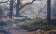 30x48 - Spellbound - Prairie Landscape Oil Painting by Dean Francis - 2603